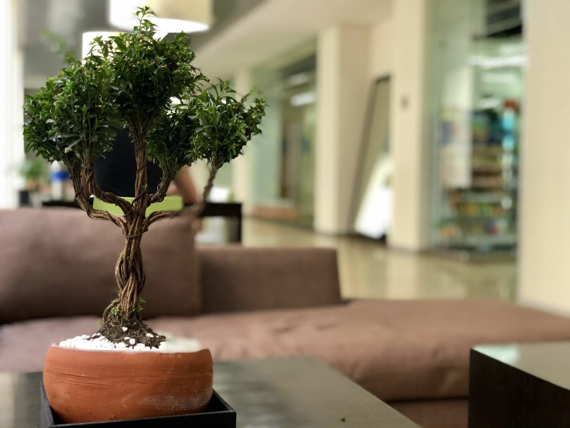 Boutique Apartment Puerta Alameda-801 Meksyk Zewnętrze zdjęcie